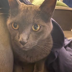 Meet your Posher, Bryce